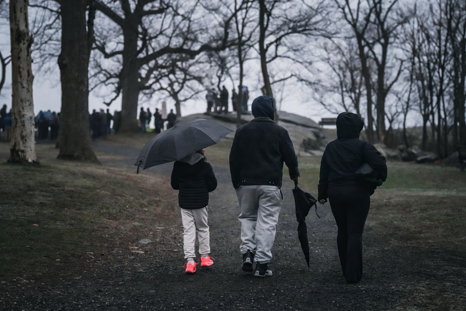 Three people walk with umbrellas in a misty park, surrounded by leafless trees.