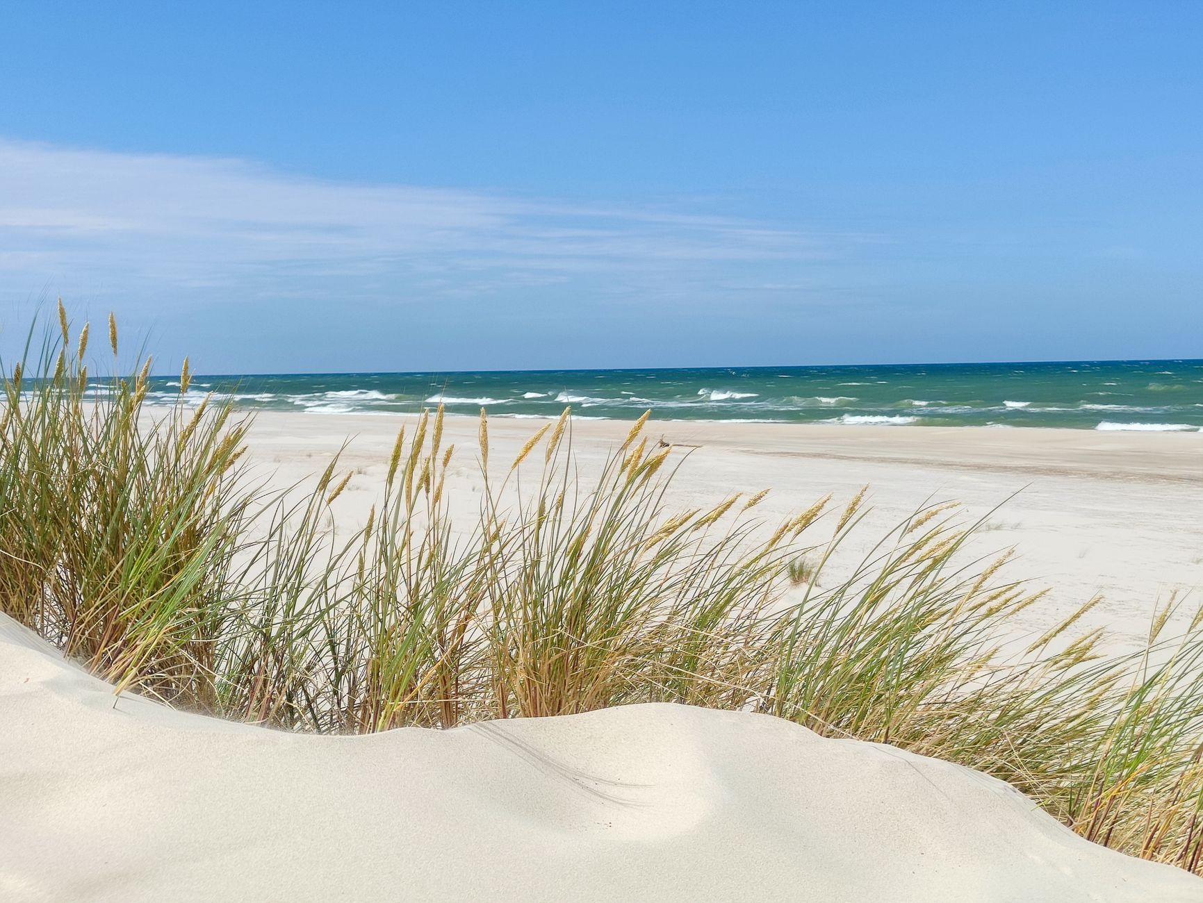 Tranquil view of a sandy Baltic Sea beach with coastal grasses under a clear blue sky.