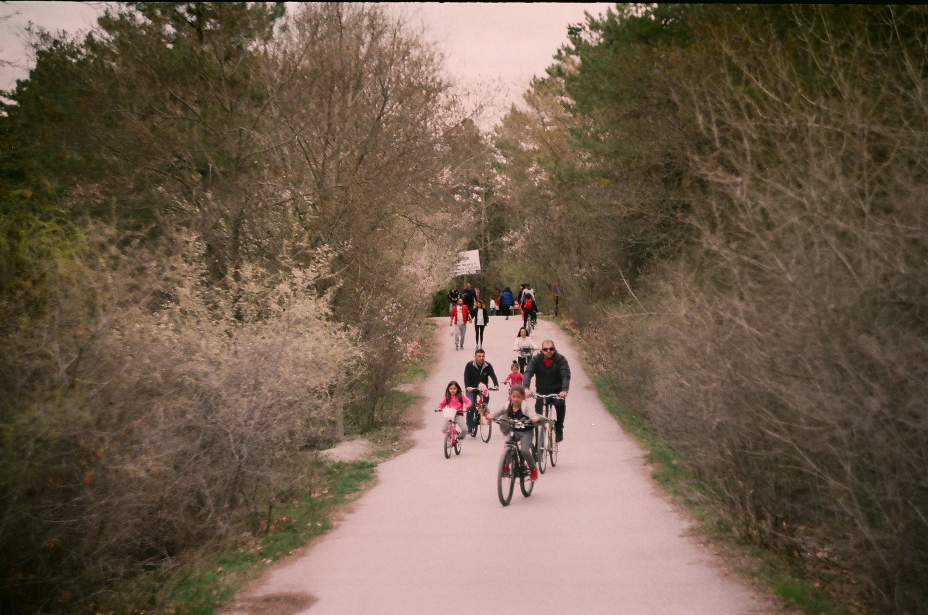 A group of families cycling along a scenic rural path surrounded by nature.