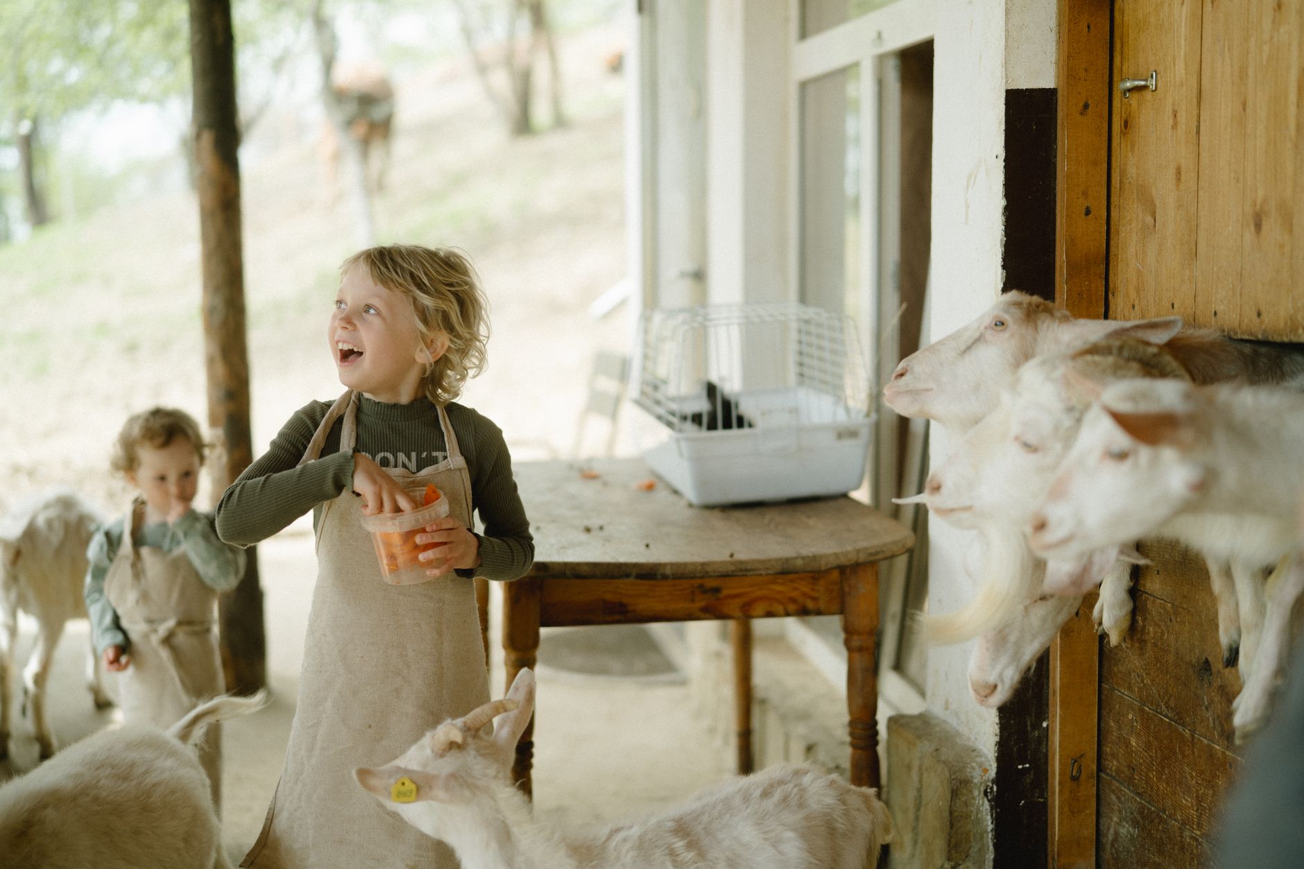 Joyful children feeding goats on a sunny farm day, showcasing rural life and innocence.