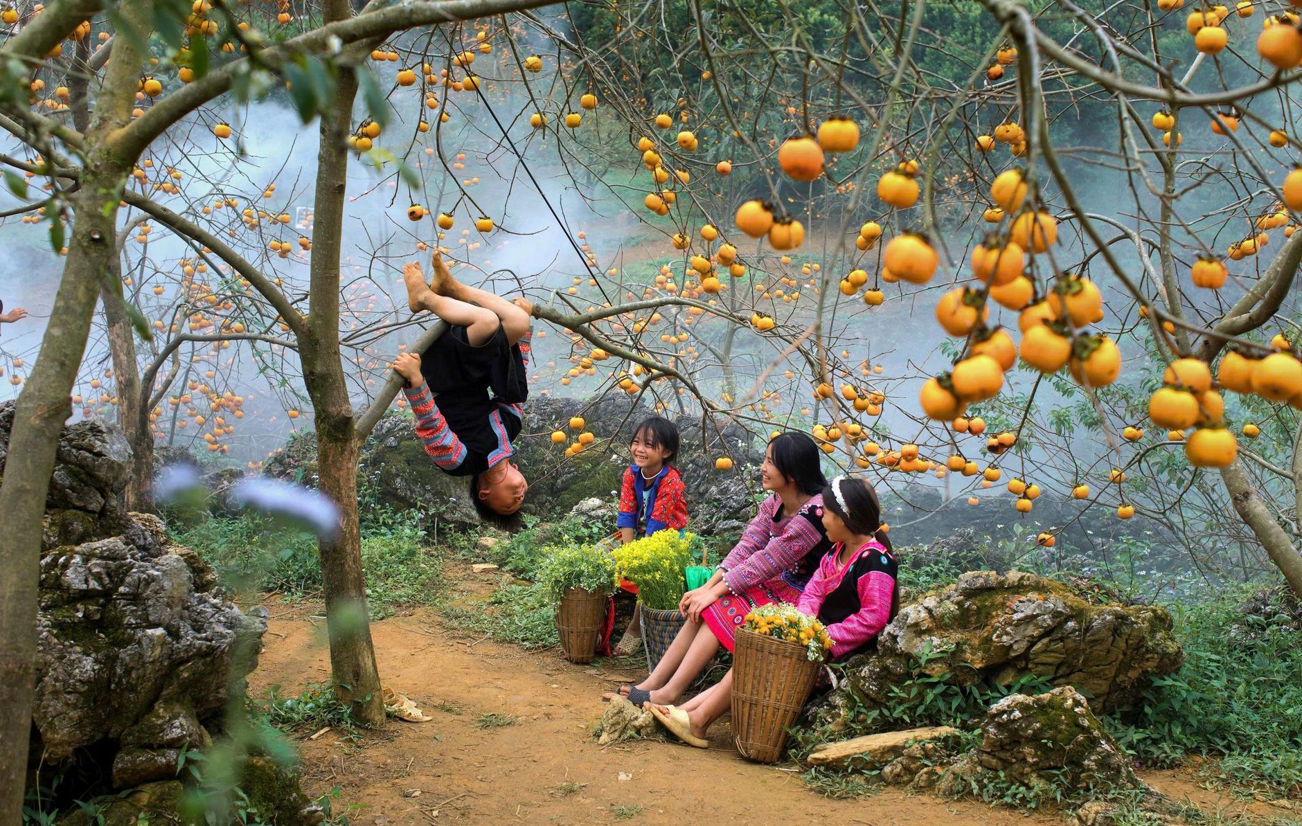 Children enjoying autumn under persimmon trees, vibrant and joyful moment outdoors.