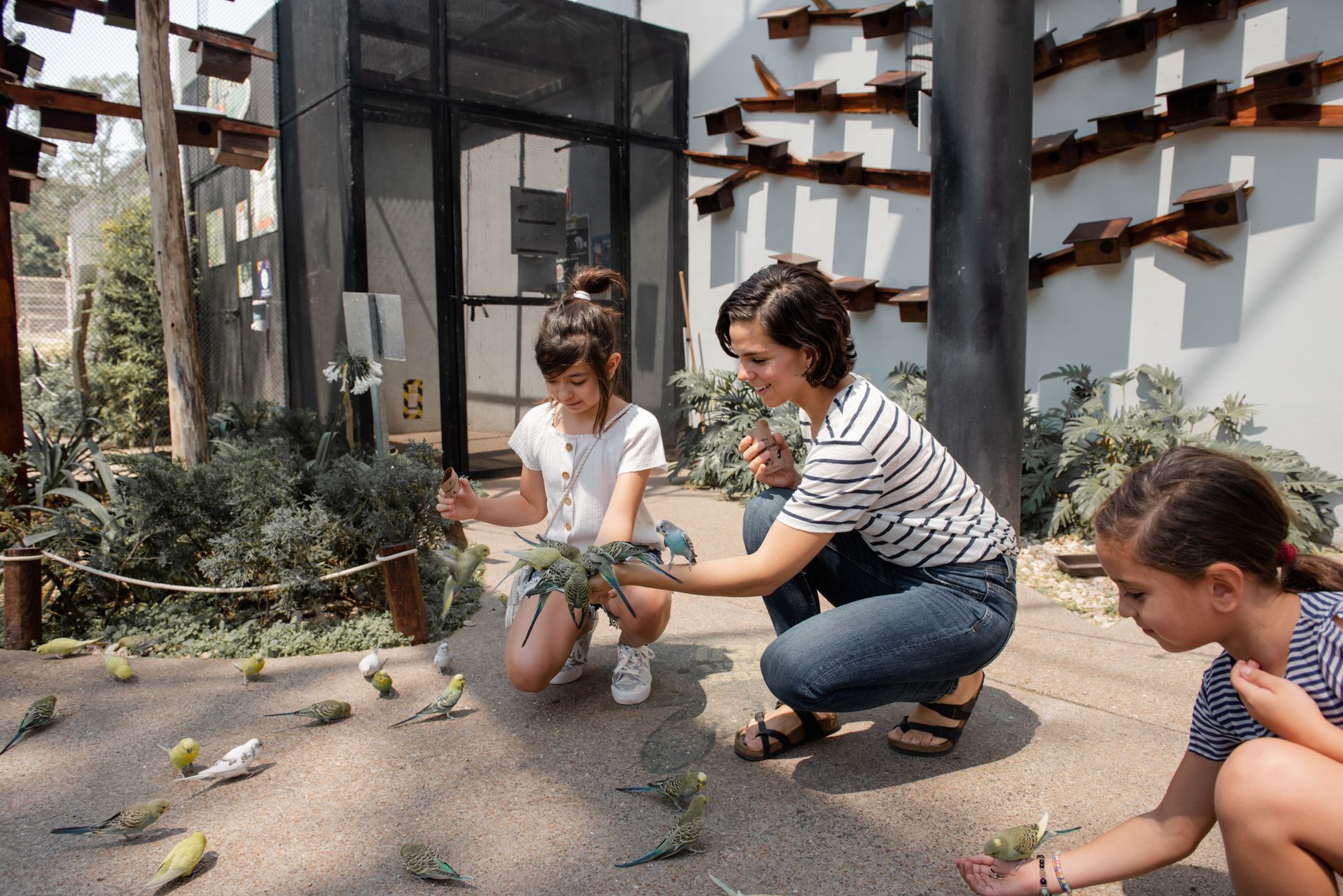 A mother and children interacting with birds outdoors at the zoo, enjoying a sunny day.
