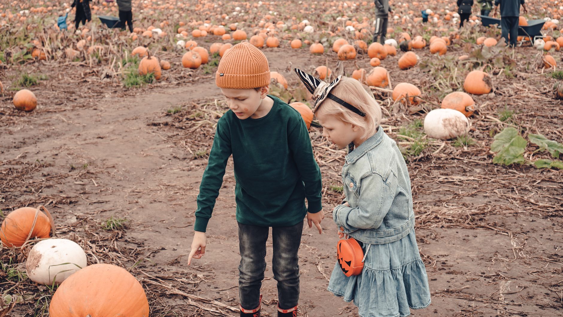 Two children exploring a pumpkin patch during fall, surrounded by pumpkins.