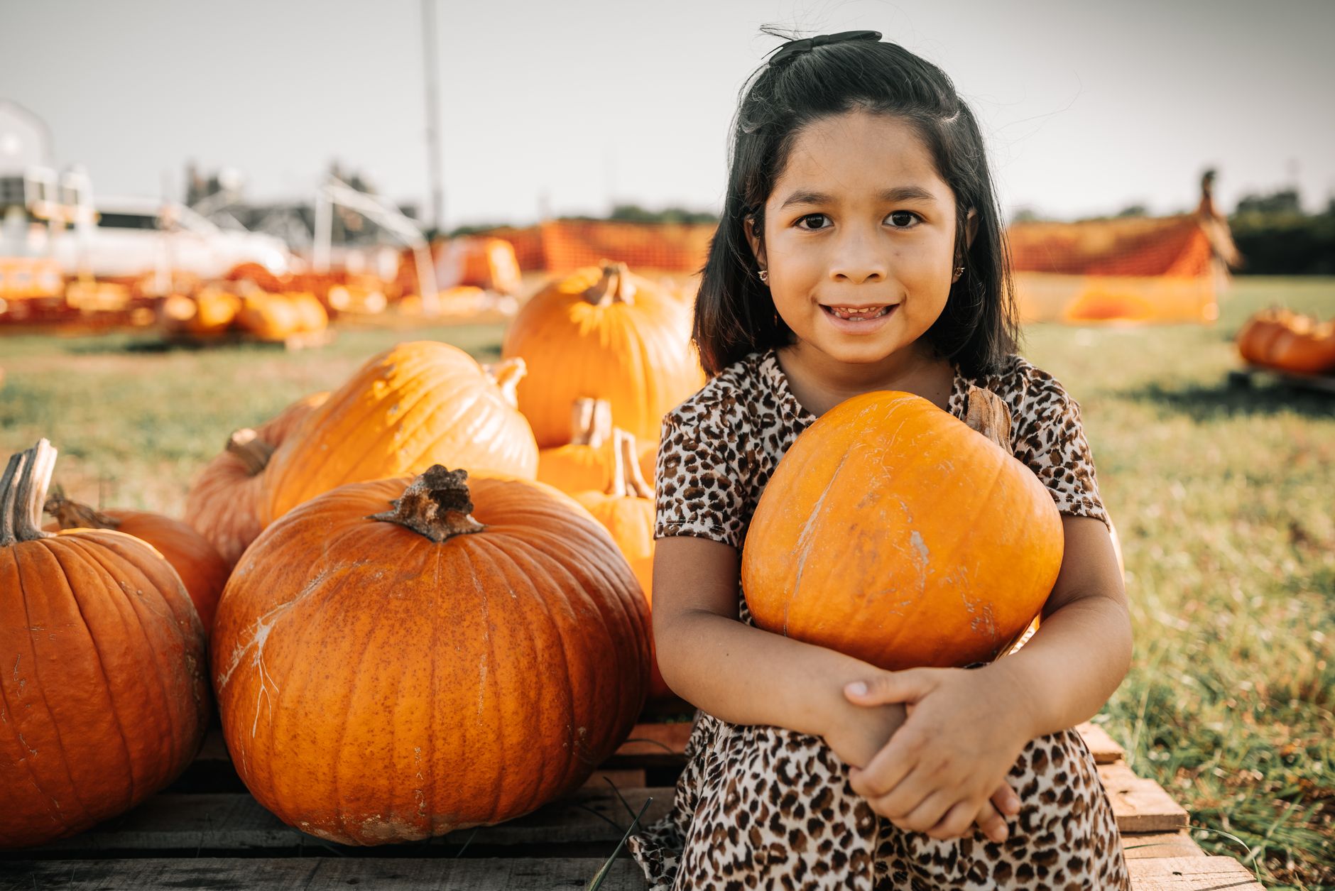 A young girl sits among pumpkins at an outdoor pumpkin patch, enjoying a sunny fall day.